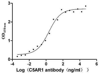 Activity Measured by its binding ability in a functional ELISA. Immobilized human C5AR1 at 10 μg/ml can bind Anti-C5AR1 recombinant antibody , the EC 50 is 1.239-3.760 ng/mL. Biological Activity AssayRecombinant Human C5A Anaphylatoxin Chemotactic Receptor 1 (C5AR1) Protein (His), Active