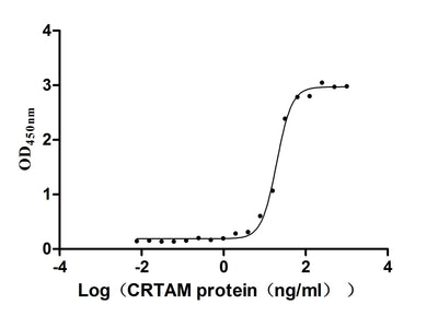 Activity Measured by its binding ability in a functional ELISA. Immobilized Human CADM1 at 2μg/mL can bind Human CRTAM ，the EC 50 is 17.82-21.71 ng/mL. Biological Activity AssayRecombinant Human Cell Adhesion Molecule 1 (CADM1) Protein (His), Active