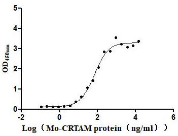 Activity Measured by its binding ability in a functional ELISA. Immobilized Mouse CADM1 at 2μg/mL can bind Mouse CRTAM ， the EC 50 is 52.61-92.92 ng/mL. Biological Activity AssayRecombinant Mouse Cell Adhesion Molecule 1 (CADM1) Protein (His), Active
