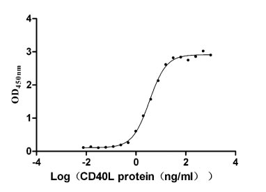Activity Measured by its binding ability in a functional ELISA. Immobilized CD40 at 2 μg/ml can bind CD40L , the EC 50 is 3.112-3.858 ng/ml. Biological Activity AssayRecombinant Human Tumor Necrosis Factor Receptor Superfamily Member 5 (CD40) Protein (hFc), Active