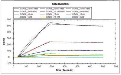 Activity Human CD40 protein hFc tag captured on COOH chip can bind Human CD40L protein hFc and Flag tag with an affinity constant of 2.06 nM as detected by LSPR Assay. Biological Activity AssayRecombinant Human Tumor Necrosis Factor Receptor Superfamily Member 5 (CD40) Protein (hFc), Active