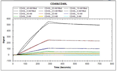Activity Human CD40 protein hFc tag captured on COOH chip can bind Human CD40L protein hFc and Flag tag with an affinity constant of 2.06 nM as detected by LSPR Assay. Biological Activity Assay