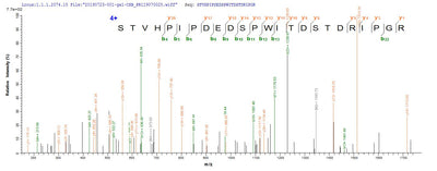 Based on the SEQUEST from database of Mammalian Cell host and target protein, the LC-MS/MS Analysis result of this product could indicate that this peptide derived from Mammalian Cell-expressed Homo sapiens (Human) CD44.Recombinant Human Cd44 Antigen (CD44) Protein (hFc), Active