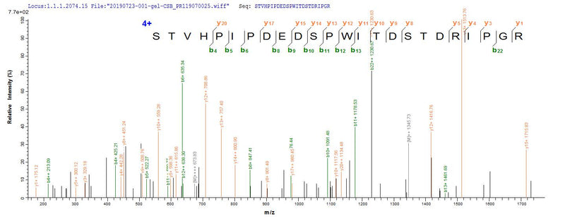 Based on the SEQUEST from database of Mammalian Cell host and target protein, the LC-MS/MS Analysis result of this product could indicate that this peptide derived from Mammalian Cell-expressed Homo sapiens (Human) CD44.Recombinant Human Cd44 Antigen (CD44) Protein (hFc), Active