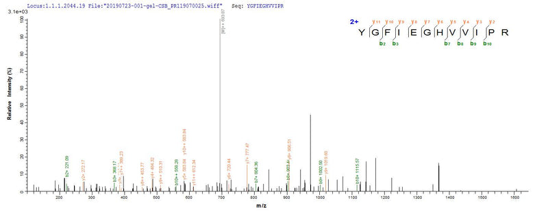 Based on the SEQUEST from database of Mammalian Cell host and target protein, the LC-MS/MS Analysis result of this product could indicate that this peptide derived from Mammalian Cell-expressed Homo sapiens (Human) CD44.Recombinant Human Cd44 Antigen (CD44) Protein (hFc), Active
