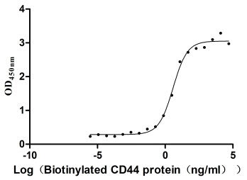 Activity Measured by its binding ability in a functional ELISA. Immobilized Anti-CD44 Mouse Monoclonal Antibody at 2 μg/ml can bind Biotinylated human CD44, the EC 50 is 2.865-5.099 ng/ml. Biological Activity AssayBiotinylated Recombinant Human Cd44 Antigen (CD44) Protein (mFc-Avi), Active