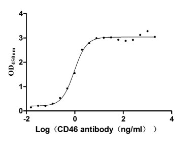 Activity Measured by its binding ability in a functional ELISA. Immobilized CD46 at 2 μg/ml can bind Anti-CD46 rabbit monoclonal antibody, the EC 50 of human CD46 protein is 0.8333-1.054 ng/ml. Biological Activity AssayRecombinant Human Membrane Cofactor Protein (CD46) Protein (hFc), Active