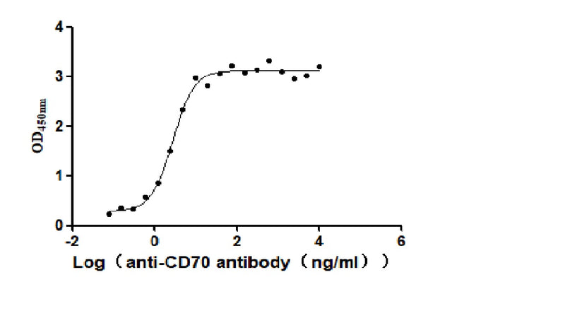Activity Measured by its binding ability in a functional ELISA. Immobilized Human CD70 at 2 μg/ml can bind Anti-CD70 antibody, the EC 50 is 2.414-3.196 ng/mL. Biological Activity AssayRecombinant Human Cd70 Antigen (CD70) Protein (His), Active
