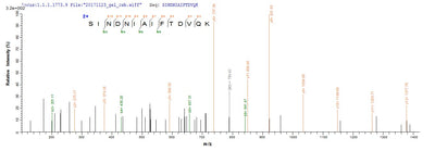 Based on the SEQUEST from database of Mammalian Cell host and target protein, the LC-MS/MS Analysis result of this product could indicate that this peptide derived from Mammalian Cell-expressed Mus musculus (Mouse) Ckap4.Recombinant Mouse Cytoskeleton-Associated Protein 4 (CKAP4) Protein (His&Myc)