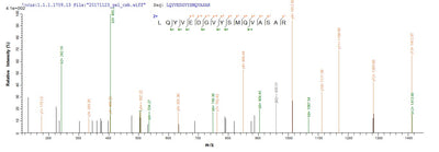 Based on the SEQUEST from database of Mammalian Cell host and target protein, the LC-MS/MS Analysis result of this product could indicate that this peptide derived from Mammalian Cell-expressed Mus musculus (Mouse) Ckap4.Recombinant Mouse Cytoskeleton-Associated Protein 4 (CKAP4) Protein (His&Myc)