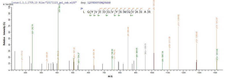 Based on the SEQUEST from database of Mammalian Cell host and target protein, the LC-MS/MS Analysis result of this product could indicate that this peptide derived from Mammalian Cell-expressed Mus musculus (Mouse) Ckap4.Recombinant Mouse Cytoskeleton-Associated Protein 4 (CKAP4) Protein (His&Myc)