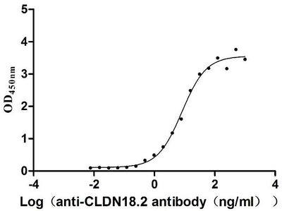 Activity Measured by its binding ability in a functional ELISA. Immobilized Mouse Cldn18 at 5 μg/ml can bind Anti-CLDN18.2 recombinant antibody , the EC 50 is 6.115-11.01 ng/mL. Biological Activity AssayRecombinant Mouse Claudin-18 (CLDN18) Protein (His), Active