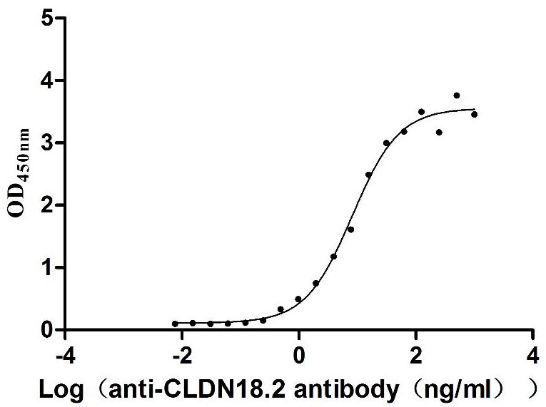 Activity Measured by its binding ability in a functional ELISA. Immobilized Mouse Cldn18 at 5 μg/ml can bind Anti-CLDN18.2 recombinant antibody , the EC 50 is 6.115-11.01 ng/mL. Biological Activity AssayRecombinant Mouse Claudin-18 (CLDN18) Protein (His), Active