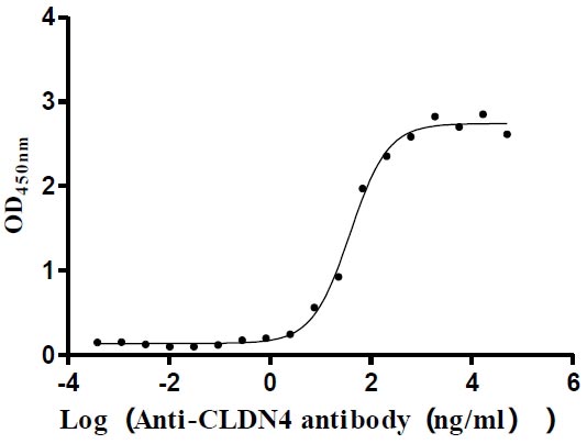 Activity Measured by its binding ability in a functional ELISA. Immobilized Human CLDN4 at 5 μg/ml can bind Anti-CLDN4 recombinant antibody , the EC 50 is 29.56-50.75 ng/mL. Biological Activity AssayRecombinant Human Claudin-4 (CLDN4) Protein (His), Active