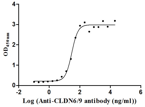 Activity Measured by its binding ability in a functional ELISA. Immobilized Human CLDN9 at 10 μg/ml can bind Anti-CLDN6/9 recombinant antibody , the EC 50 is 24.93-35.47 ng/mL. Biological Activity AssayRecombinant Human Claudin-9 (CLDN9) Protein (His), Active