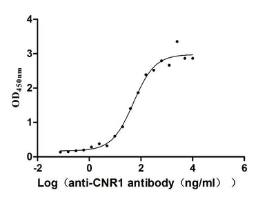 Activity Measured by its binding ability in a functional ELISA. Immobilized Human CNR1 at 10 μg/ml can bind Anti-CNR1 recombinant antibody , the EC 50 is 41.72-63.54 ng/mL. Biological Activity AssayRecombinant Human Cannabinoid Receptor 1 (CNR1) Protein (His), Active