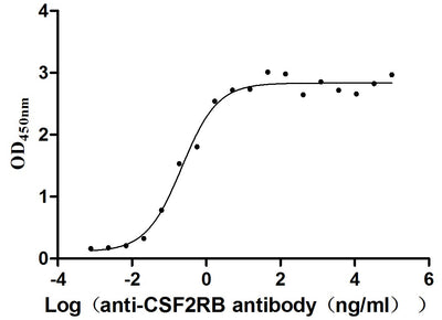 Activity Measured by its binding ability in a functional ELISA. Immobilized CSF2RB at 2 μg/ml can bind anti-CSF2RB antibody, the EC 50 is 0.1594-0.3046 ng/mL.Recombinant Human Cytokine Receptor Common Subunit Beta (CSF2RB) Protein (His), Active