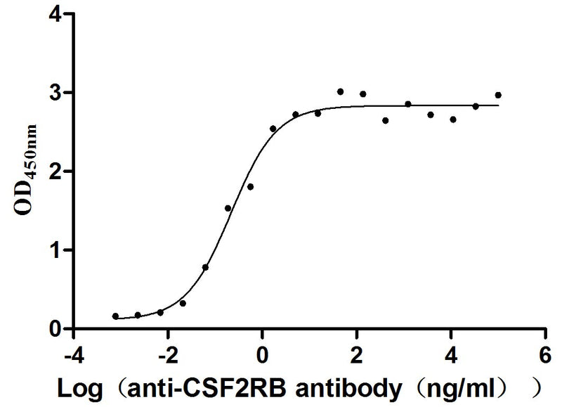 Activity Measured by its binding ability in a functional ELISA. Immobilized CSF2RB at 2 μg/ml can bind anti-CSF2RB antibody, the EC 50 is 0.1594-0.3046 ng/mL.Recombinant Human Cytokine Receptor Common Subunit Beta (CSF2RB) Protein (His), Active