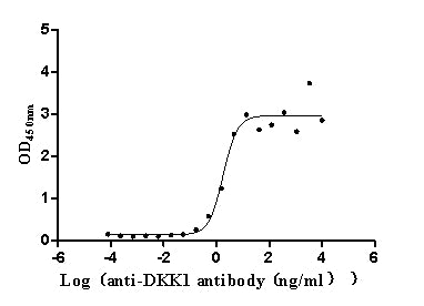 Activity Measured by its binding ability in a functional ELISA. Immobilized Human DKK1 at 2 μg/mL can bind Anti-DKK1 recombinant antibody , the EC 50 is 1.283-2.544 ng/mL.