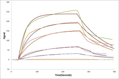 Activity Human EPHA3 protein his tag captured on COOH chip can bind Human EFNA5 protein Fc tag with an affinity constant of 13.8 nM as detected by LSPR Assay. Biological Activity AssayRecombinant Human Ephrin-A5 (EFNA5) Protein (hFc), Active