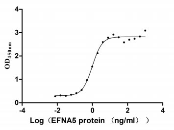 Activity Measured by its binding ability in a functional ELISA. Immobilized EPHA3 at 2 μg/ml can bind human EFNA5, the EC 50 of human EFNA5 protein is 0.8674-1.119 ng/ml. Biological Activity AssayRecombinant Human Ephrin-A5 (EFNA5) Protein (hFc), Active