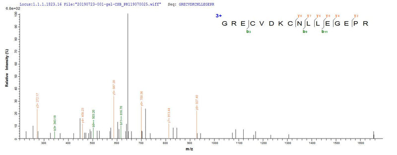 Based on the SEQUEST from database of Mammalian Cell host and target protein, the LC-MS/MS Analysis result of this product could indicate that this peptide derived from Mammalian Cell-expressed Homo sapiens (Human) EGFR.