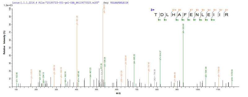 Based on the SEQUEST from database of Mammalian Cell host and target protein, the LC-MS/MS Analysis result of this product could indicate that this peptide derived from Mammalian Cell-expressed Homo sapiens (Human) EGFR.Recombinant Human Epidermal Growth Factor Receptor (EGFR) Protein (His&Myc), Active
