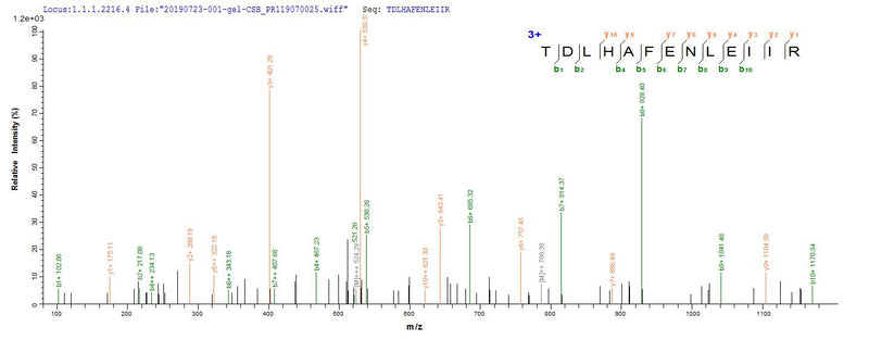 Based on the SEQUEST from database of Mammalian Cell host and target protein, the LC-MS/MS Analysis result of this product could indicate that this peptide derived from Mammalian Cell-expressed Homo sapiens (Human) EGFR.