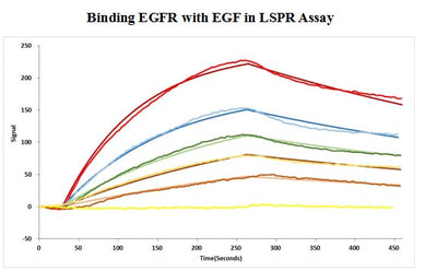 Human EGF protein captured on COOH chip can bind Human EGFR protein, his and Myc tag with an affinity constant of 11.9nM as detected by LSPR Assay. Biological Activity Assay