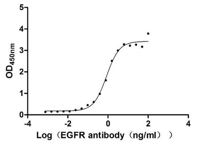 Activity Measured by its binding ability in a functional ELISA. Immobilized EGFR at 1 μg/ml can bind Cetuximab, the EC 50 of human EGFR protein is 0.6919-1.047 ng/ml. Biological Activity AssayRecombinant Human Epidermal Growth Factor Receptor (EGFR) Protein (His&Myc), Active