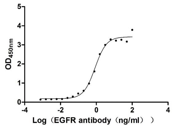Activity Measured by its binding ability in a functional ELISA. Immobilized EGFR at 1 μg/ml can bind Cetuximab, the EC 50 of human EGFR protein is 0.6919-1.047 ng/ml. Biological Activity AssayRecombinant Human Epidermal Growth Factor Receptor (EGFR) Protein (His&Myc), Active