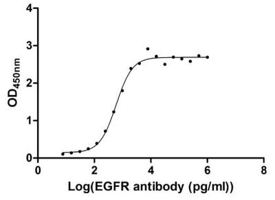Measured by its binding ability in a functional ELISA. Immobilized EGFR at 1 μg/ml can bind Anti-EGFR recombinant antibody, the EC50 of human EGFR protein is 2.867-3.571 ng/ml. Biological Activity Assay