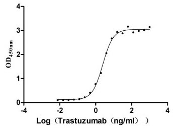 Activity Measured by its binding ability in a functional ELISA. Immobilized HER2 at 2 μg/ml can bind Trastuzumab, the EC 50 is 2.179-2.825 ng/ml. Biological Activity Assay