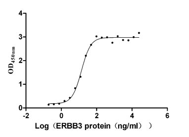 Activity Measured by its binding ability in a functional ELISA. Immobilized NRG1) at 2 μg/ml can bind human ERBB3, the EC 50 is 12.32-15.74 ng/ml. Biological Activity AssayRecombinant Human Receptor Tyrosine-Protein Kinase Erbb-3 (ERBB3) Protein (hFc), Active