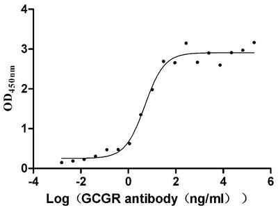 Activity Measured by its binding ability in a functional ELISA. Immobilized human GCGR at 2 μg/ml can bind Anti-GCGR recombinant antibody , the EC 50 is 3.747-6.666 ng/mL. Biological Activity AssayRecombinant Human Glucagon Receptor (GCGR) Protein (His&Myc), Active