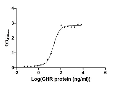 Activity Measured by its binding ability in a functional ELISA. Immobilized GH1 at 1 μg/ml can bind human GHR, the EC 50 of the protein is 19.28-25.29 ng/ml. Biological Activity AssayRecombinant Human Somatotropin (GH1) Protein (His&Myc), Active