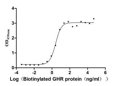 Activity Measured by its binding ability in a functional ELISA. Immobilized human GH1 at 2 μg/ml can bind Biotinylated human GHR, the EC 50 is 2.067-3.208 ng/ml. Biological Activity AssayBiotinylated Recombinant Human Growth Hormone Receptor (GHR) Protein (mFc-Avi), Active