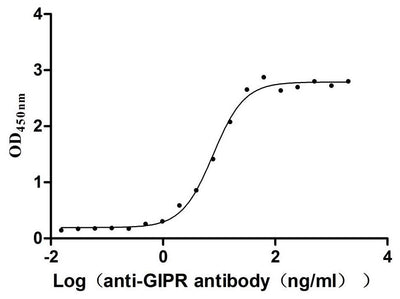 Activity Measured by its binding ability in a functional ELISA. Immobilized Rat Gipr at 2μg/mL can bind Anti-Mouse Gipr recombinant antibody ， the EC 50 is 6.946-8.740 ng/mL. Biological Activity AssayRecombinant Rat Gastric Inhibitory Polypeptide Receptor (GIPR) Protein (His), Active