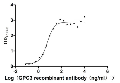Activity Measured by its binding ability in a functional ELISA. Immobilized human GPC3 (G537R) at 5 μg/ml can bind Anti-GPC3 recombinant antibody, the EC 50 is 4.739-7.092 ng/ml. Biological Activity AssayRecombinant Human Glypican-3 (GPC3) Protein (His-Myc), Active