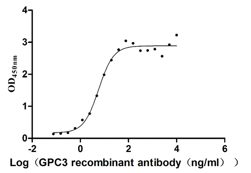 Activity Measured by its binding ability in a functional ELISA. Immobilized human GPC3 (G537R) at 5 μg/ml can bind Anti-GPC3 recombinant antibody, the EC 50 is 4.739-7.092 ng/ml. Biological Activity Assay