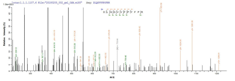 Based on the SEQUEST from database of Mammalian Cell host and target protein, the LC-MS/MS Analysis result of this product could indicate that this peptide derived from Mammalian Cell-expressed Homo sapiens (Human) HAPLN1.