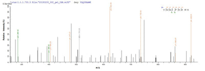 Based on the SEQUEST from database of Mammalian Cell host and target protein, the LC-MS/MS Analysis result of this product could indicate that this peptide derived from Mammalian Cell-expressed Homo sapiens (Human) HAPLN1.