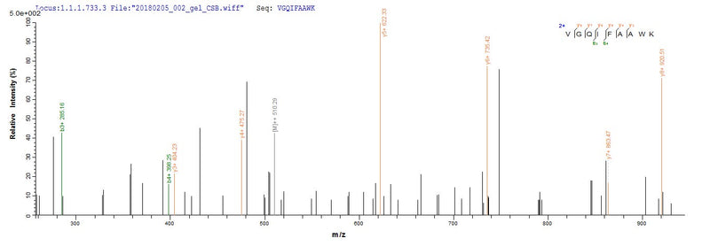 Based on the SEQUEST from database of Mammalian Cell host and target protein, the LC-MS/MS Analysis result of this product could indicate that this peptide derived from Mammalian Cell-expressed Homo sapiens (Human) HAPLN1.Recombinant Human Hyaluronan And Proteoglycan Link Protein 1 (HAPLN1) Protein (His)