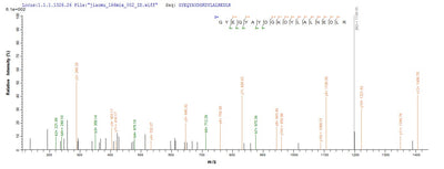 Based on the SEQUEST from database of Mammalian Cell host and target protein, the LC-MS/MS Analysis result of this product could indicate that this peptide derived from Mammalian Cell-expressed Homo sapiens(Human) HLA-G.Recombinant Human Hla Class I Histocompatibility Antigen, Alpha Chain G (HLA-G) Protein (His)