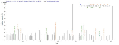 Based on the SEQUEST from database of Mammalian Cell host and target protein, the LC-MS/MS Analysis result of this product could indicate that this peptide derived from Mammalian Cell-expressed Homo sapiens(Human) HLA-G.Recombinant Human Hla Class I Histocompatibility Antigen, Alpha Chain G (HLA-G) Protein (His)