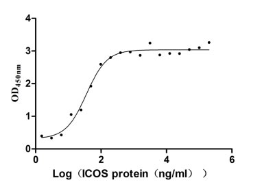 Activity Measured by its binding ability in a functional ELISA. Immobilized ICOSLG at 2 μg/ml can bind human ICOS , the EC 50 of human ICOSLG protein is 29.04-43.59 ng/ml. Biological Activity AssayRecombinant Human Icos Ligand (ICOSLG) Protein (His), Active