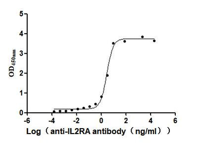 Activity Measured by its binding ability in a functional ELISA. Immobilized Human IL2RA at 2μg/mL can bind Anti-IL2RA recombinant antibody ，the EC 50 is 2.463-3.353 ng/mL. Biological Activity AssayRecombinant Human Interleukin-2 Receptor Subunit Alpha (IL2RA) Protein (His), Active
