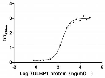 Activity Measured by its binding ability in a functional ELISA. Immobilized KLRK1 at 10 μg/ml can bind human ULBP1 , the EC 50 of human KLRK1 protein is 222.4-276.0 ng/ml. Biological Activity AssayRecombinant Human Nkg2-D Type Ii Integral Membrane Protein (KLRK1) Protein (hFc), Active