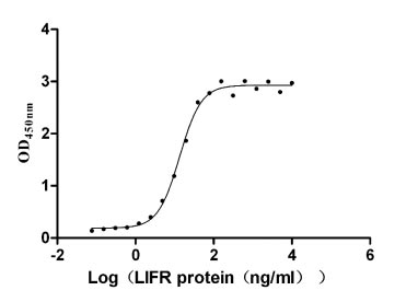 Activity Measured by its binding ability in a functional ELISA. Immobilized human LIF at 2 μg/ml can bind human LIFR, the EC 50 is 11.68-15.52 ng/ml. Biological Activity AssayRecombinant Human Leukemia Inhibitory Factor Receptor (LIFR) Protein (hFc-Flag), Active