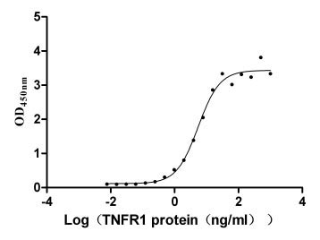 Activity Measured by its binding ability in a functional ELISA. Immobilized LTA at 5 μg/ml can bind human TNFR1, the EC 50 of human LTA protein is 4.409-6.797 ng/ml. Biological Activity Assay